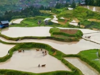 今天16时7分将迎惊蛰节气 大部地区进入春耕繁忙时节