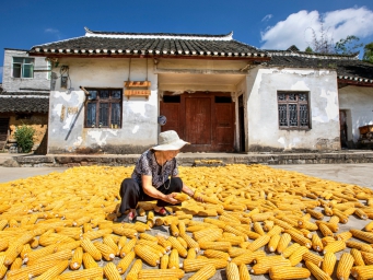 晒秋啦！贵州黔西乡村“丰”景如画