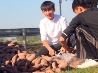 “鬱地薯丰·寻味玉州”活动亮点多