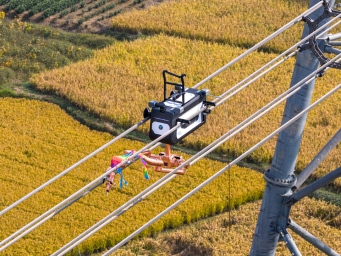 特高压线路具身智能双臂机器人开展高空清障作业